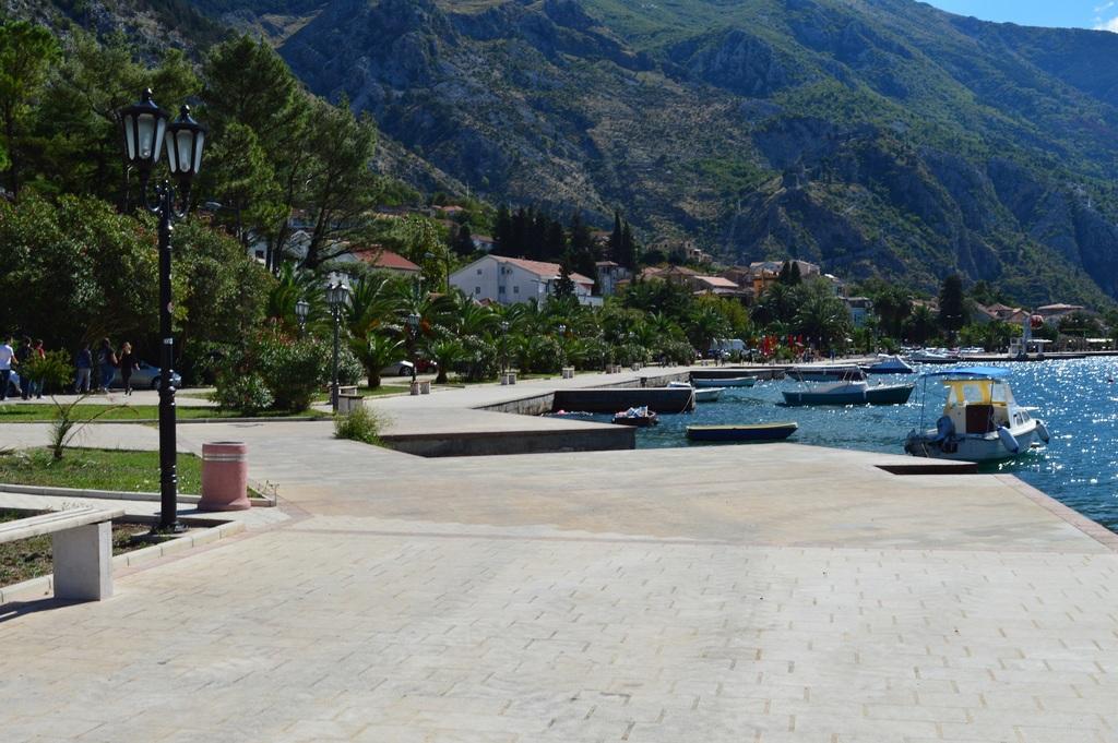 M&i Kotor