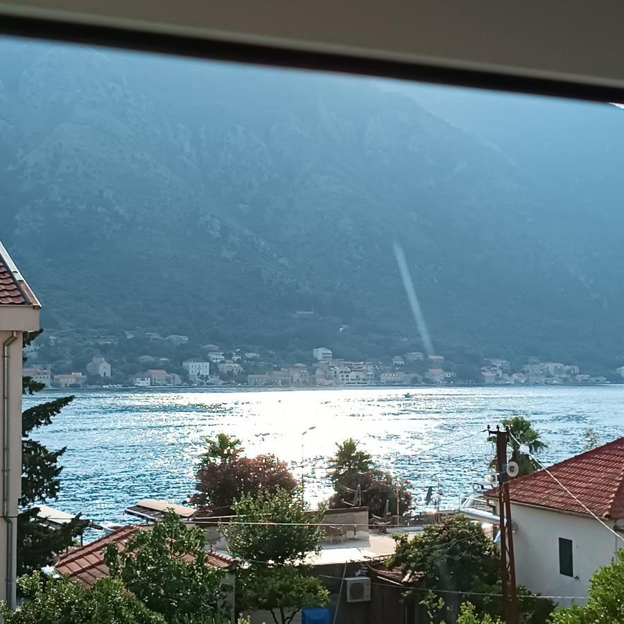 M&i Kotor